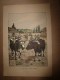 1914   Affichette Cynique-comique De G. Vignal (hors Tout 47cm X 32cm) On Les Appelle Vaches !.protestons énergiquement - Prints & Engravings