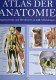 Atlas Der Anatomie 2006 Antiquarisch 32€ Organ-Systeme Und Strukturen Mit 439 Abbildungen/Fotos Medica Lexika Of Germany - Medizin & Gesundheit