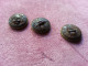 Lot De 3 Boutons : Un Bouton Laiton Habit De Chasse , Chasseur , Garde /  Biche Renard Sanglier   ( Au Dos : Paris   ) - Botones