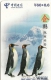 2-CARTES-PREPAYEES-2002-CHINA TELECOM-PINGUOINS-TBE - Pingouins & Manchots