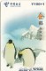 2-CARTES-PREPAYEES-2002-CHINA TELECOM-PINGUOINS-TBE - Pinguins