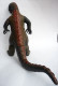 FIGURINE ACTION FIGURE ARTICULE GODZILLA EN PLASTIQUE DOR MEI 1986 China - Other & Unclassified