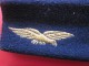 AVIATEUR Militaria Paire D'épaulette Grade Armée De L'air Française Aigle Doré Feutrine/fond Noir équipement Militaire - Luchtvaart