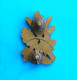 YUGOSLAVIA ARMY ( JNA ) Old Rare Large Lapel Pin For General Rank * Yugoslavian People's Army Military Militaire Militar - Army