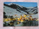 Austria   Saalbach -Land Salzburg   D126317 - Saalbach