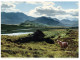 (212) Ireland - Co-Galway Connemara - Galway