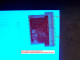 2001  N° 3419  PHOSPHORESCENTE 3  + BARRE DENT DE SCIE PHOSPHORESCENTE TVP ROUGE   OBLITÉRÉ - Cartas & Documentos