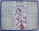 CALENDRIER 1929 GAZ ELECTRICITE - JEUNE FEMME AU CHIEN - Formato Grande : 1921-40