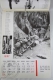 Vintage 1964 Big Wall Calendar - Boy Scouts Of Catalonya/ Spain - Scouting - 24 X 34 Cm - Big : 1961-70