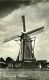 WINTERSWIJK (Gelderland) - Molen/moulin - Korenmolen "De Bataaf" Met Verdekkerde Wieken En Ten Have Klep Omstreeks 1950 - Winterswijk