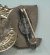 BAKKEVEEN - Holland Netherlands, Blason, Coat Of Arms, Vintage Pin Badge - Villes