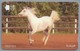 OM.- General Telecommunications Organization Sultanate Of Oman. Hamsa. Horse. Paard. 37OMNA351317. - Oman