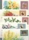 Delcampe - WThFleurs - RARE - FLEURS  Du  Monde -107 CARTES POSTALES  Dans  Une  Boîte  Cartonnée  Originale  --  Très Belle Valeur - Collections (en Albums)