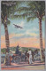 BERMUDA 1949-08-05 Hamilton Ansichtskarte Nach Detroit - Bermudes