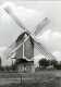 GEFFEN Bij Oss (Noord-Brabant) - Molen/moulin - Standerdmolen ´De Vlijt´ Omstreeks 1980 Na Verplaatsing En Restauratie - Oss