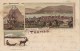 Norway - Hilsen Fra Tromso - Litho 1899 - Norvège