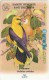 Bulgaria - Oriolus Oriolus Song Birds, 34BULA, 02-1996, 25.000ex, Used - Bulgaria