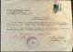 ITALIA - JUGOSLAVIA - SLOVENIA  - CERTIFICATO  POLICIA - PAZIN - ISTRIA - Bollo  L. 100 - Completo - 1946 - RARE - Steuermarken