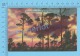 CPSM, Florida ( A Florida Sunset As Seen Through Caribbean Pines) Linen Postcard Recto/Verso - Autres & Non Classés