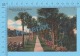 CPSM, Florida ( Beautiful Palm Walk To Beach, Ormond Beach Daytona ) Linen Postcard Recto/Verso - Daytona