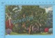 CPSM, Florida ( An Sausage Tree  ) Linen Postcard Recto/Verso - Autres & Non Classés