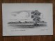 41493 POSTCARD: CHESHIRE: Wilmslow: Lindon Common.  PENCIL SKETCH. - Autres & Non Classés