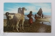 Postcard Bolivia - Lago/ Lake Titicaca - Bolivia