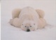 Polar Bear Postcard Unused (20008J) - Beren