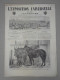Exposition Universelle 1867 - Ducuing - No 44 Paris Weltausstellung Holzstiche  38,5 Cm - Altri & Non Classificati