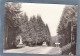 MONUMENT PAUL VIVIE APOTRE DU CYCLO TOURISME JOURNEE DU VELOCIO ROUTE BLEUE  6 CARTES POSTALES - Radsport