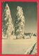 164627 /  Bad Salzungen  - WINTER TREE HOUSE    - USED 1961 DDR Germany Deutschland Allemagne Germania - Bad Salzungen