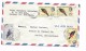 British Honduras 1964 BELIZE,  4 Stamps BIRDS, MASSENA TROGON, SCARLET-RUMPED TANAGER, RED-LEGGED  HONEYCREEPER, Lettre - Parrots