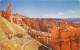 UTAH - Switchbacks On Navajo Trail Bryce Canyon National Park - Bryce Canyon