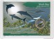 AUSTRALIA AUSTRALIE 2010. 1$ COIN. SHARK BAY. WORLD HERITAGE SITES. DOLPHINS. MANATEE - Sets Sin Usar &  Sets De Prueba