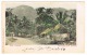 RB 1023 -  1903 A. Duperly Postcard - Road To Bogwalk  Jamaica - West Indies Caribbean - Jamaïque