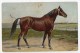 Netherlands Artist Signed Amerikaansche Harddraver O. Eerclmann Ca1900 Vintage Original Postcard Cpa Ak (W4_811) - Horses