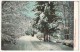 Adirondack Mts., Bloomingdale, Road In Winter - Adirondack