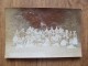 43124 POSTCARD: PEOPLE:  A  Large Group Of People - Unknown. - Other & Unclassified