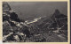 South Africa PPC Cableway Lions Head Cape Town Airmail Lugpos Par Avion Label DURBAN 1947 Tree Stamp (2 Scans) - Posta Aerea