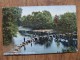 43261 POSTCARD:  DERBYSHIRE: Stepping Stones, Hathersage. - Derbyshire