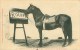 CPA    -.   Duras. Germinal. Etalon Du Célébre Dr Rouhet. Cheval.   B 1484 - Caballos