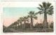 Palm Avenue, Fresno, California - 1908 - Fresno