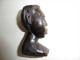 Tête ,Portrait Africain En  Bois   Noble Sculpté  Burkina Faso - Art Africain