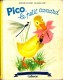 Madeleine Raillon - PICO Le Petit Canard - Collection   " Farandole " - Casterman - ( 1956 ) . - Martine