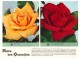 Original Werbung / Reklame - 1959 - Rosen , W. Hauenstein In Rafz , Blumen , Blumenhaus  !!! - Rafz