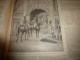 Delcampe - 1896 SOLEIL Du DIMANCHE: Invasion Sauterelle En Algérie;La Tribu Des VI-RÂ-RI Au Mexique;Greffe Entre Serpents..etc - Astronomía