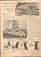 Jeunesse Magazine N°43 (3 ème Année) Du 22 Octobre 1939 Les Acrobates De L'échelle De Bambou Par André Falcoz. - 1900 - 1949