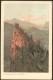 Trento Arco Lago Di Garda LITHO OLD POSTCARD - Trento