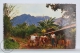 Vintage 1950´s Costa Rica Postcard - Tipical Scene In Mountain Of Costa Rica With Farmer´s Home And Ox- Cart - Costa Rica
