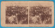 BELGIAN SOLDIERS LANDING AT OSTEND - Stereoscope Annciene Stereo Photo Card Carte Stéréoscopique BELGIUM BELGIE OOSTENDE - 1914-18